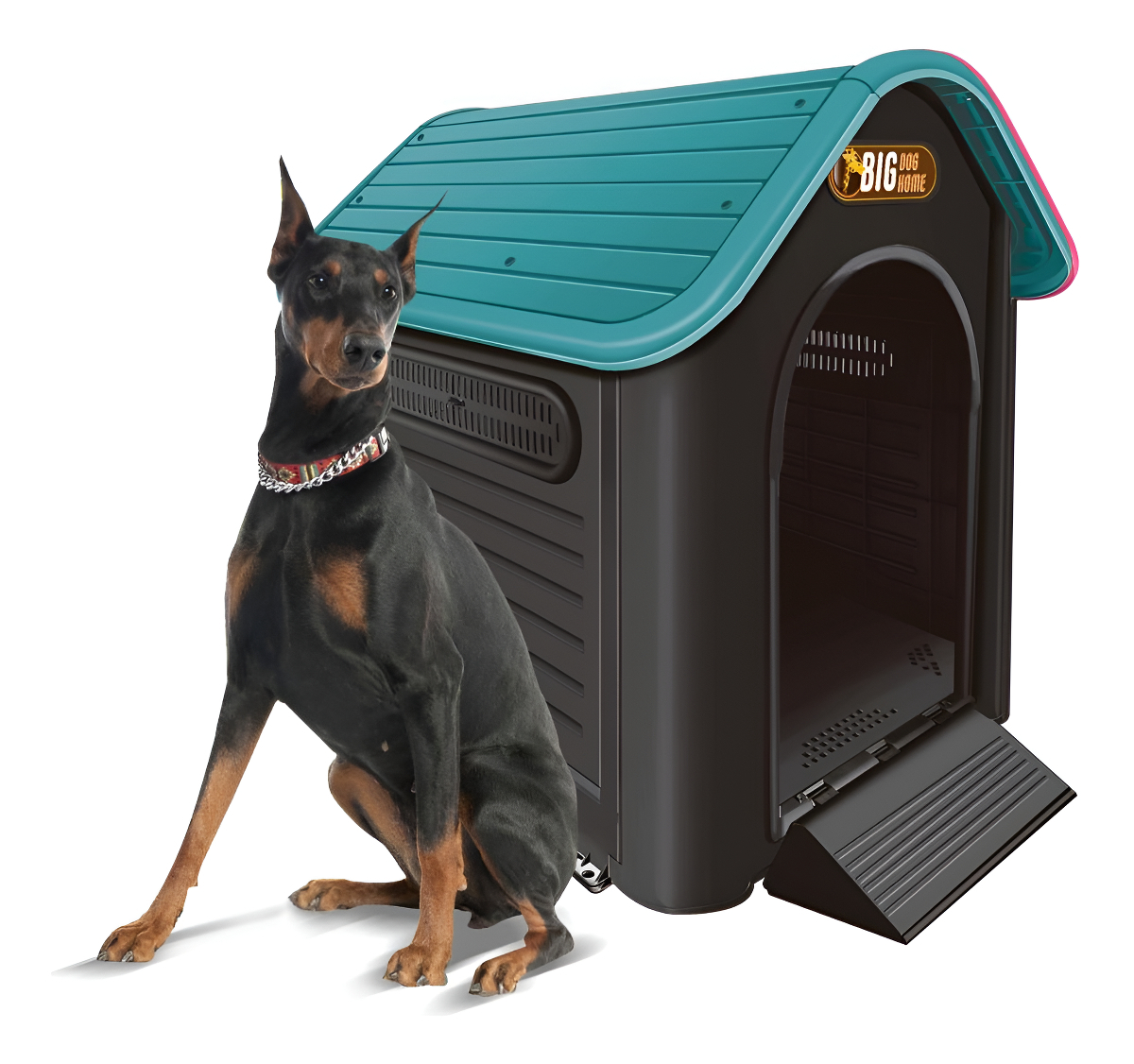 Cães: Companheiros Fiéis e Incríveis – Tudo o Que Você Precisa Saber